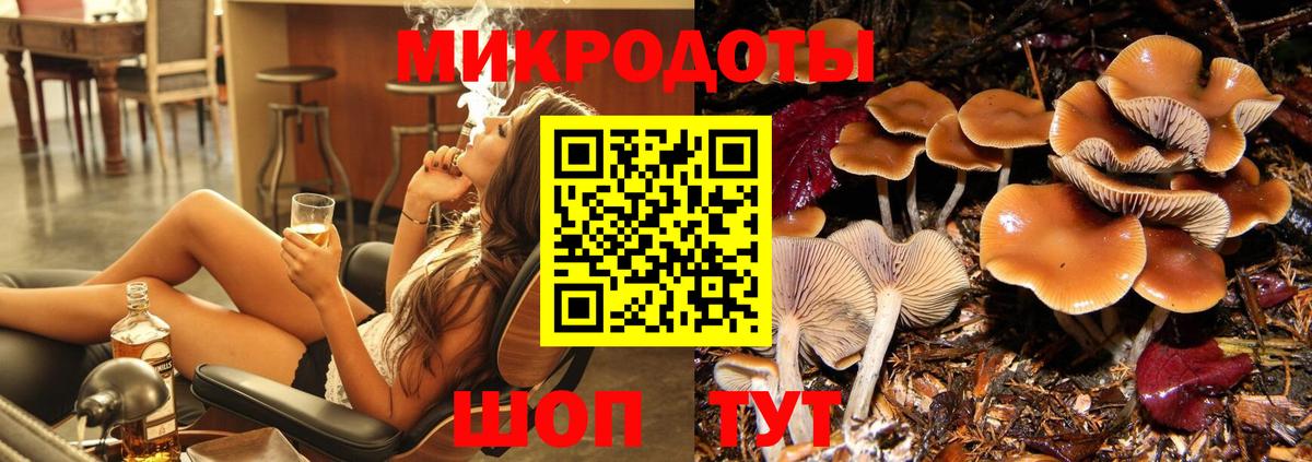 Псилоцибиновые грибы Psilocybine cubensis Усть-Илимск