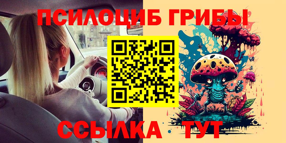 Усть-Илимск  Галлюциногенные грибы MAGIC MUSHROOMS  Вход с VPN  Псилоцибиновые грибы Psilocybe 